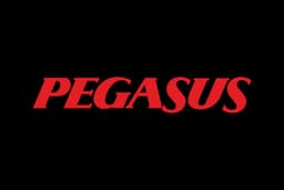 Pegasus Airlines